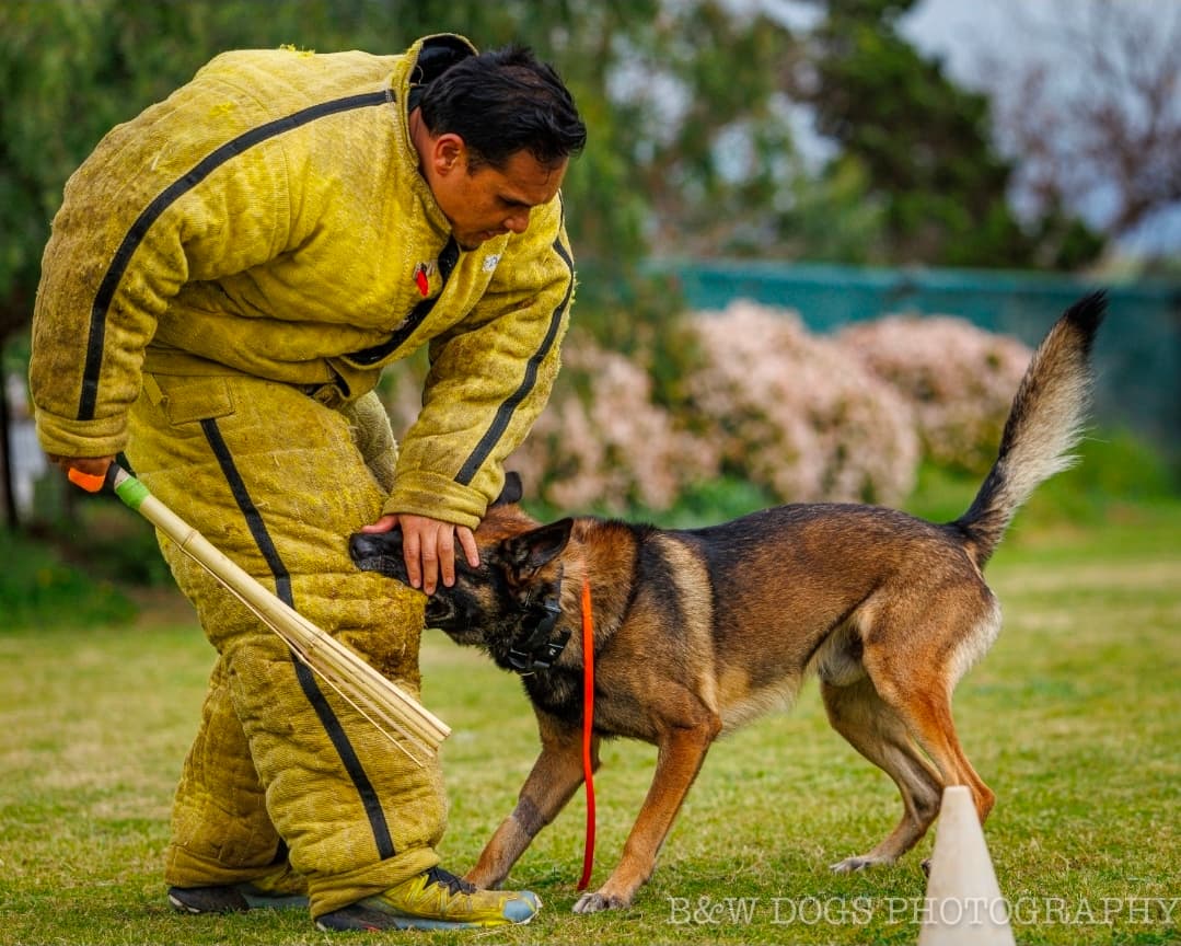 Protection Training