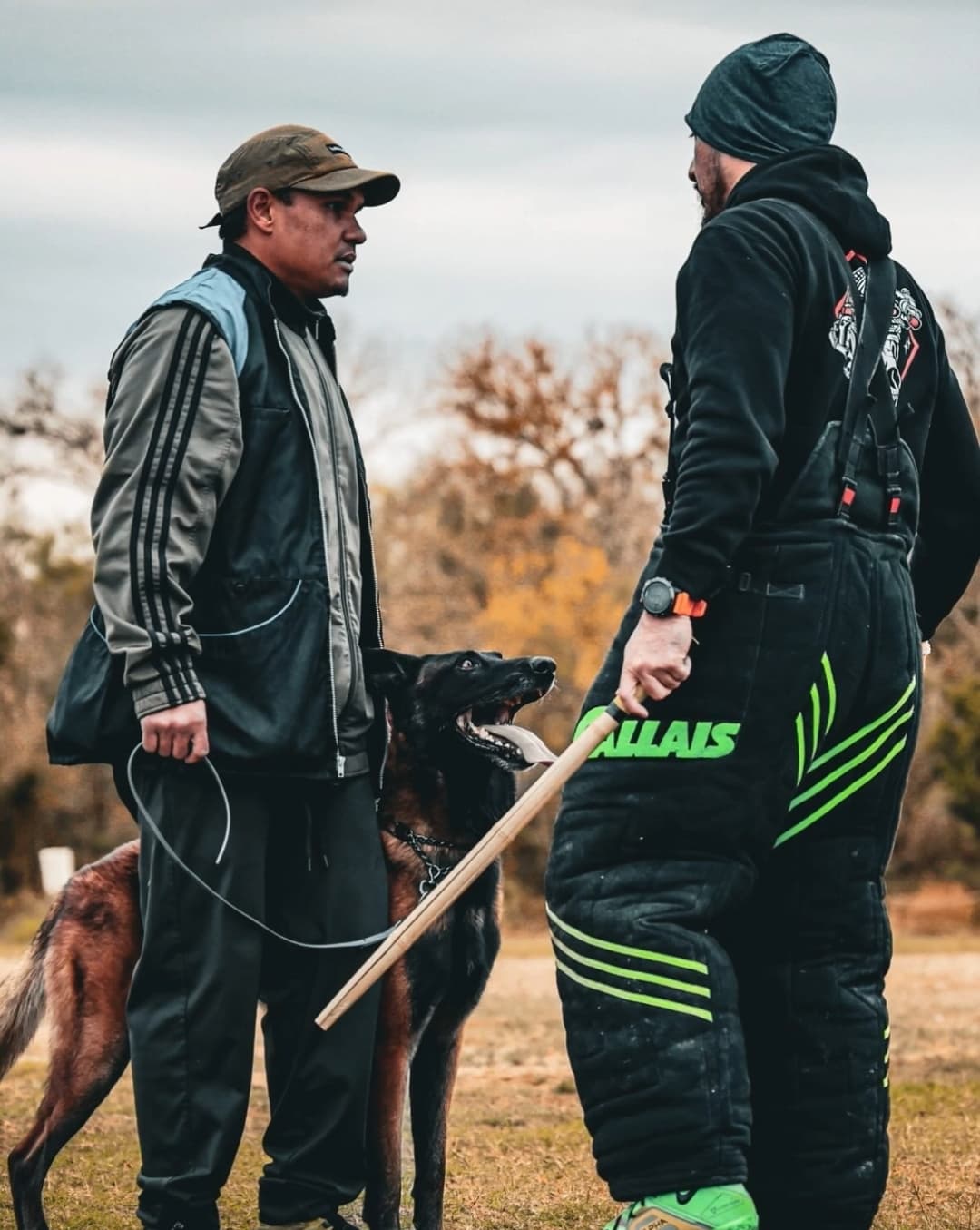 Advanced Bite Work