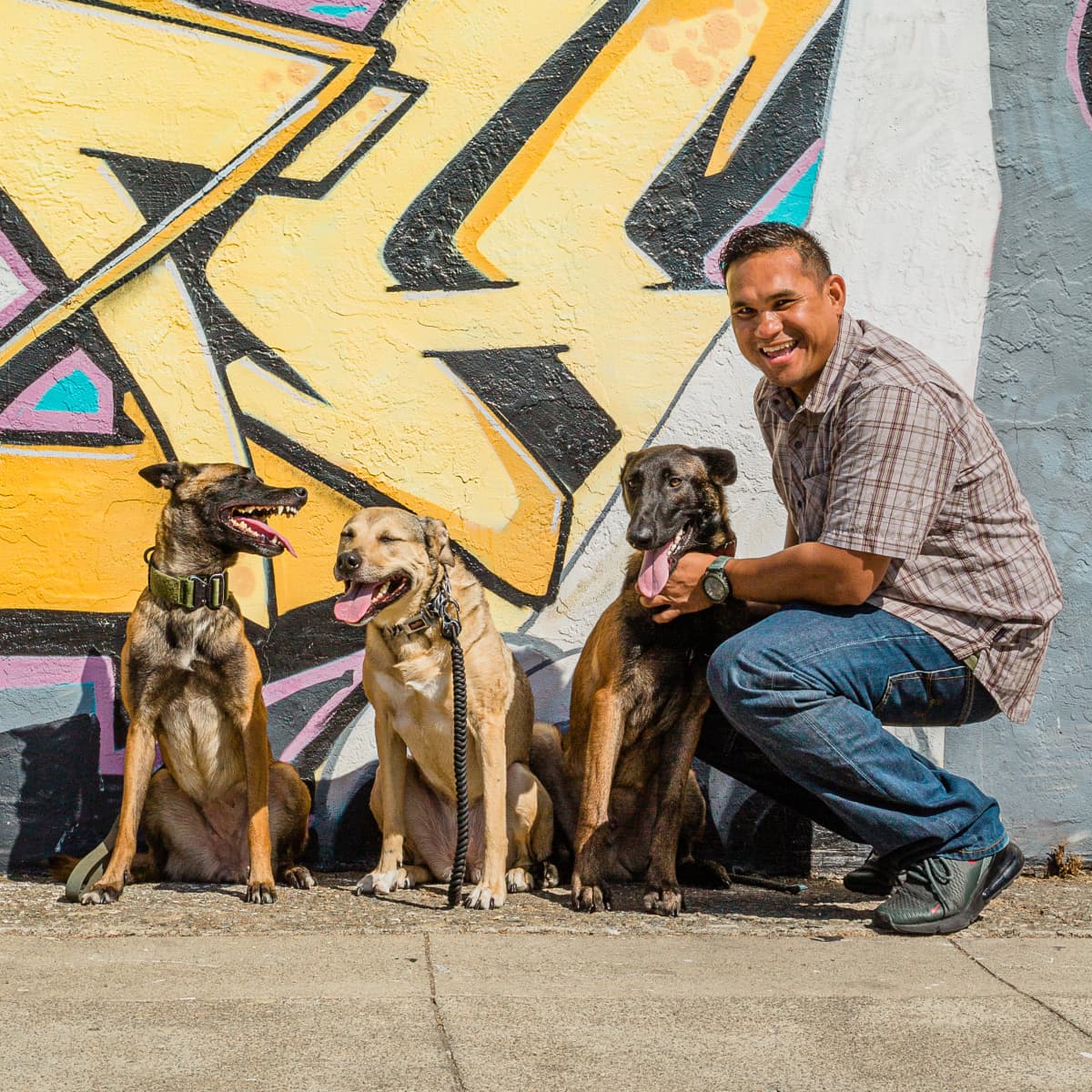 Alex — Acclimated K9 Trainer